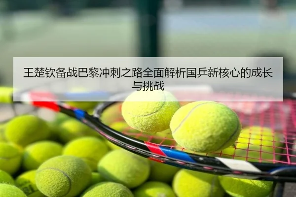 王楚钦备战巴黎冲刺之路全面解析国乒新核心的成长与挑战