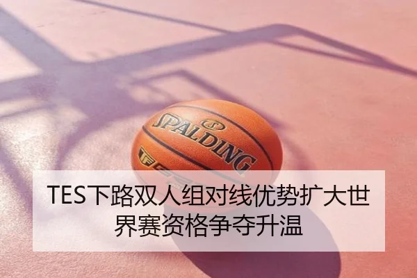 TES下路双人组对线优势扩大世界赛资格争夺升温