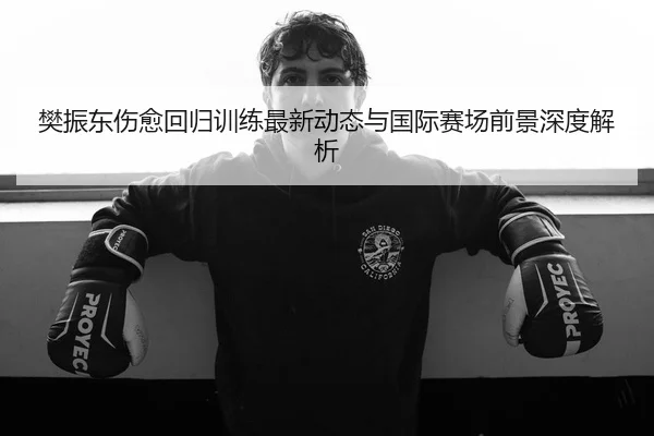 樊振东伤愈回归训练最新动态与国际赛场前景深度解析