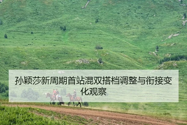 孙颖莎新周期首站混双搭档调整与衔接变化观察