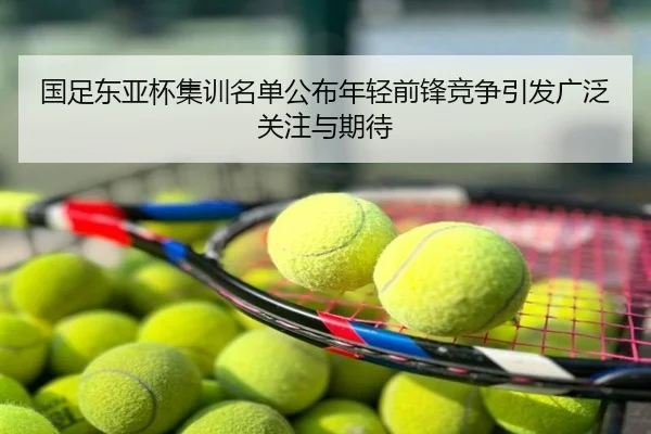 国足东亚杯集训名单公布年轻前锋竞争引发广泛关注与期待